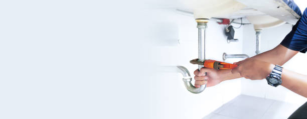 Best Commercial Plumbing Services  in Marissa, IL